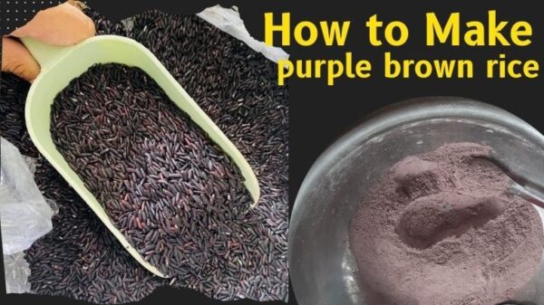 how-to-make-purple-brown-rice-flour-at-home-recipe-easy